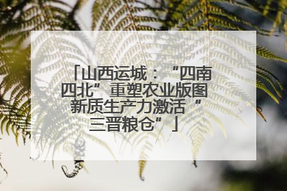 山西运城：“四南四北”重塑农业版图 新质生产力激活“三晋粮仓”