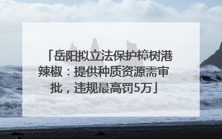 岳阳拟立法保护樟树港辣椒：提供种质资源需审批，违规最高罚5万