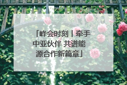 峰会时刻丨牵手中亚伙伴 共谱能源合作新篇章