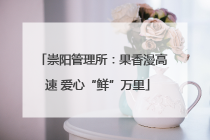 崇阳管理所：果香漫高速 爱心“鲜”万里