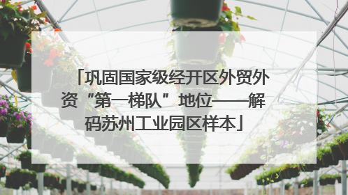 巩固国家级经开区外贸外资“第一梯队”地位——解码苏州工业园区样本