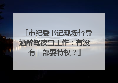 市纪委书记现场督导酒醉驾夜查工作：有没有干部耍特权？