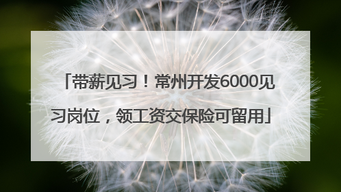 带薪见习！常州开发6000见习岗位，领工资交保险可留用