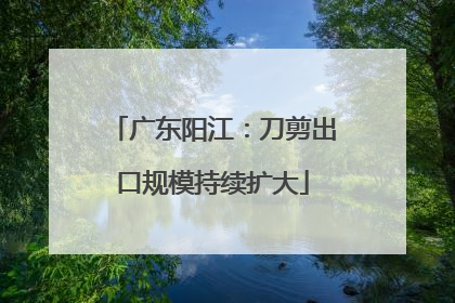 广东阳江：刀剪出口规模持续扩大