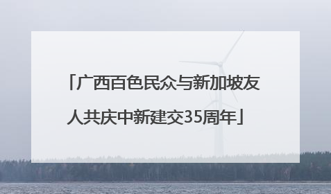 广西百色民众与新加坡友人共庆中新建交35周年