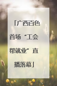 广西百色首场“工会帮就业”直播落幕