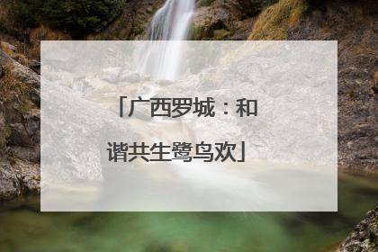 广西罗城：和谐共生鹭鸟欢