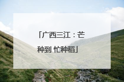 广西三江：芒种到 忙种稻