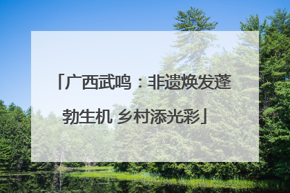 广西武鸣：非遗焕发蓬勃生机 乡村添光彩