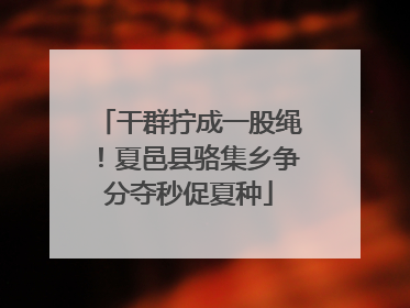 干群拧成一股绳！夏邑县骆集乡争分夺秒促夏种