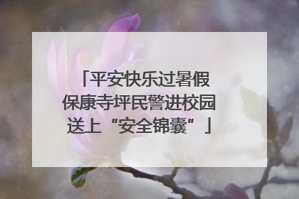 平安快乐过暑假 保康寺坪民警进校园送上“安全锦囊”