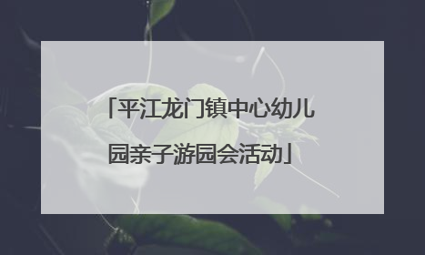 平江龙门镇中心幼儿园亲子游园会活动