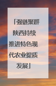 强链聚群 陕西持续推进特色现代农业提质发展