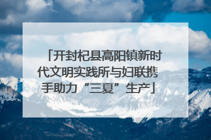 开封杞县高阳镇新时代文明实践所与妇联携手助力“三夏”生产
