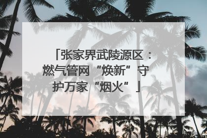 张家界武陵源区：燃气管网“焕新”守护万家“烟火”