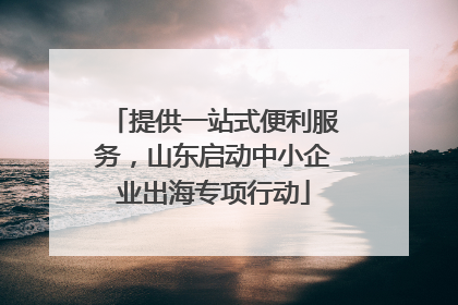 提供一站式便利服务，山东启动中小企业出海专项行动