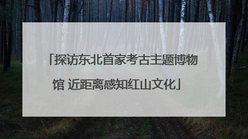 探访东北首家考古主题博物馆 近距离感知红山文化