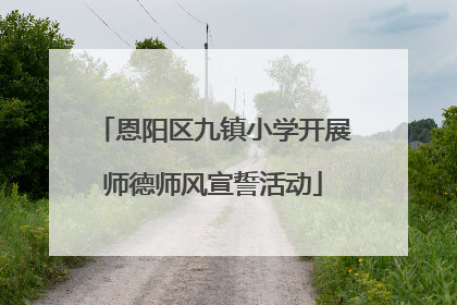 恩阳区九镇小学开展师德师风宣誓活动