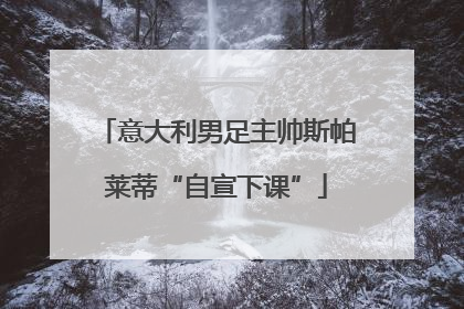 意大利男足主帅斯帕莱蒂“自宣下课”