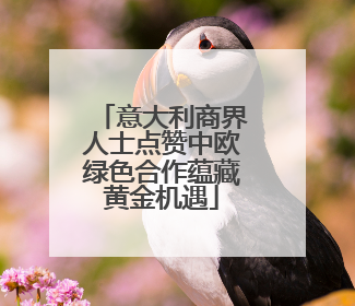意大利商界人士点赞中欧绿色合作蕴藏黄金机遇