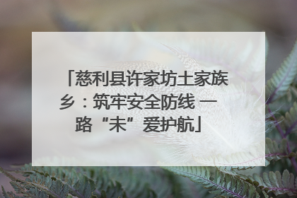 慈利县许家坊土家族乡：筑牢安全防线 一路“未”爱护航