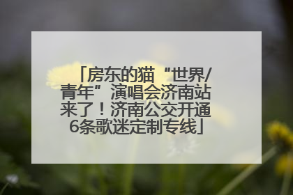 房东的猫“世界/青年”演唱会济南站来了！济南公交开通6条歌迷定制专线