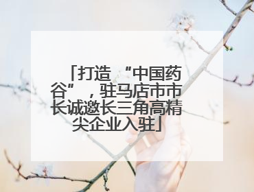 打造 “中国药谷”，驻马店市市长诚邀长三角高精尖企业入驻