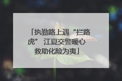 执勤路上遇“拦路虎” 江夏交警暖心救助化险为夷