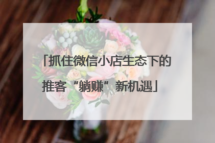 抓住微信小店生态下的推客“躺赚”新机遇