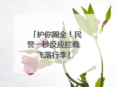 护你周全！民警一秒反应拦截飞落行李