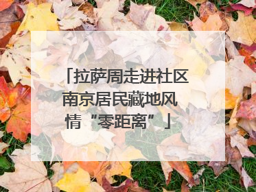 拉萨周走进社区 南京居民藏地风情“零距离”