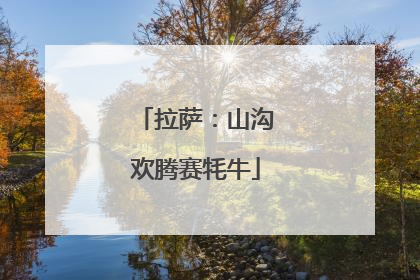 拉萨：山沟欢腾赛牦牛