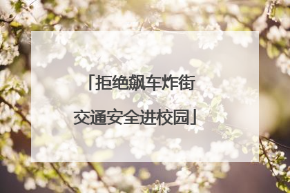 拒绝飙车炸街 交通安全进校园