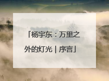 杨宇东：万里之外的灯光｜序言