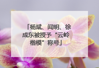杨斌、闻明、徐成东被授予“云岭楷模”称号