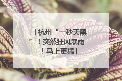杭州“一秒天黑”！突然狂风暴雨！马上更猛