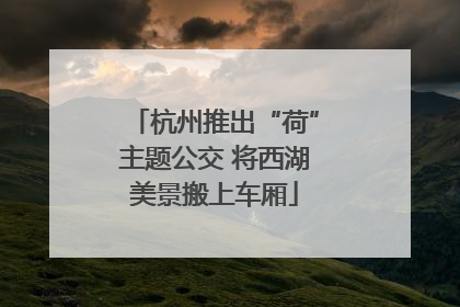 杭州推出“荷”主题公交 将西湖美景搬上车厢