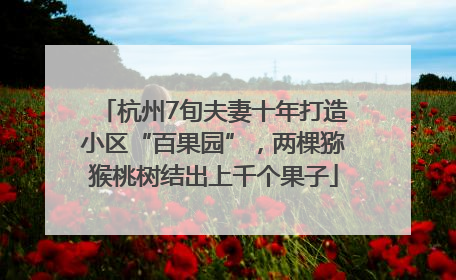 杭州7旬夫妻十年打造小区“百果园”，两棵猕猴桃树结出上千个果子