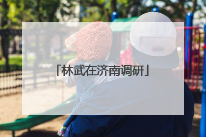 林武在济南调研
