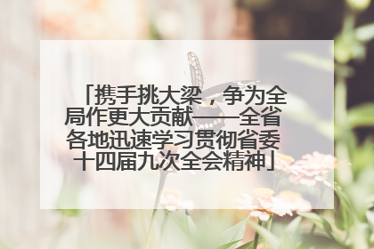 携手挑大梁，争为全局作更大贡献——全省各地迅速学习贯彻省委十四届九次全会精神