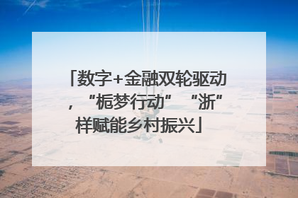 数字+金融双轮驱动，“栀梦行动”“浙”样赋能乡村振兴