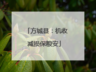 方城县：机收减损保粮安