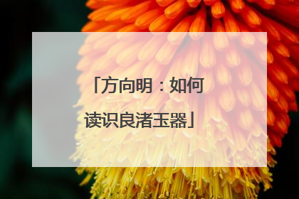 方向明：如何读识良渚玉器