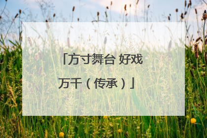方寸舞台 好戏万千（传承）