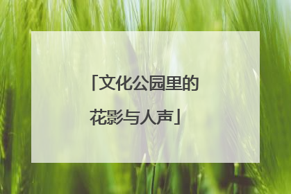 文化公园里的花影与人声