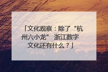 文化观察：除了“杭州六小龙” 浙江数字文化还有什么？