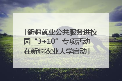 新疆就业公共服务进校园“3+10”专项活动在新疆农业大学启动