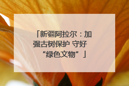 新疆阿拉尔：加强古树保护 守好“绿色文物”