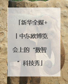 新华全媒+丨中东欧博览会上的“数智”科技秀