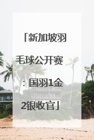 新加坡羽毛球公开赛：国羽1金2银收官